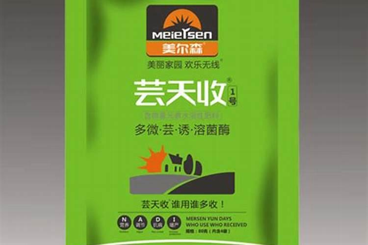 冬青种植需要注意点什么？谢谢