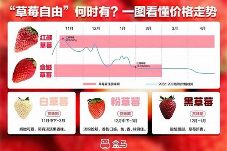 种蓝莓施什么肥