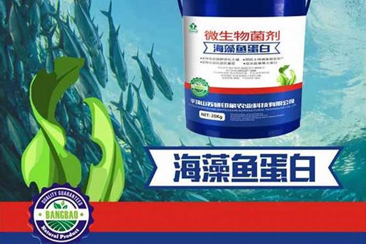 海藻肥和鱼蛋白肥哪个好 海藻肥的优缺点