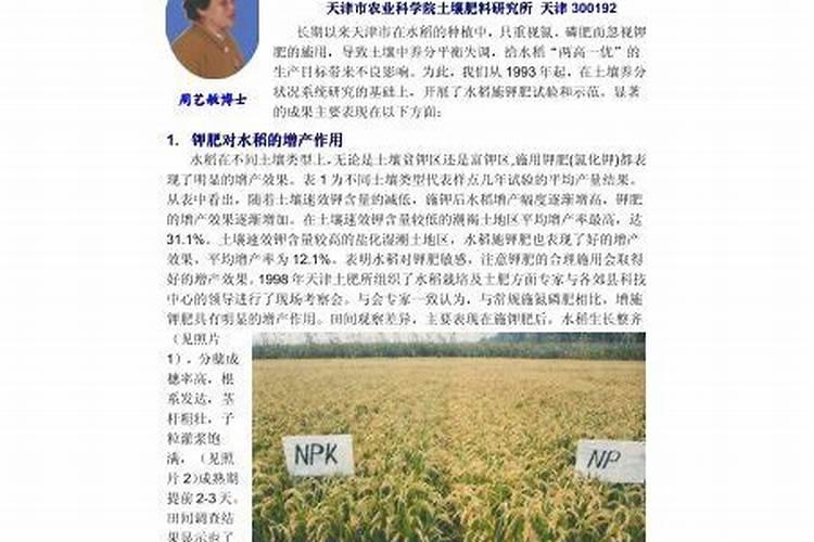 腐殖酸和腐植酸有什么区别