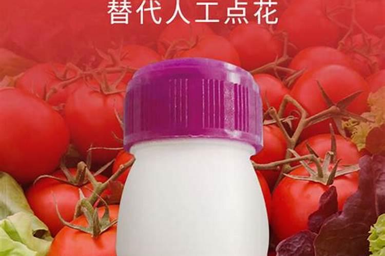 毛樱桃的功效与作用