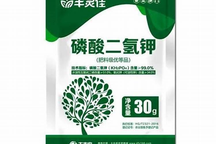 三角梅施肥是直接埋土壤里面吗