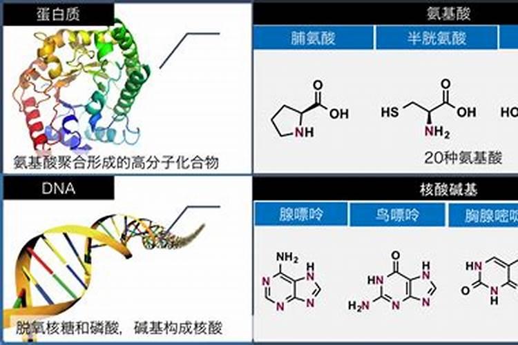 氨基酸原粉和尿素的区