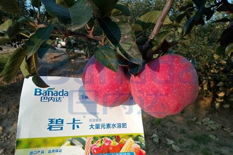 氨基酸水溶肥高温天气喷草莓有副作用吗