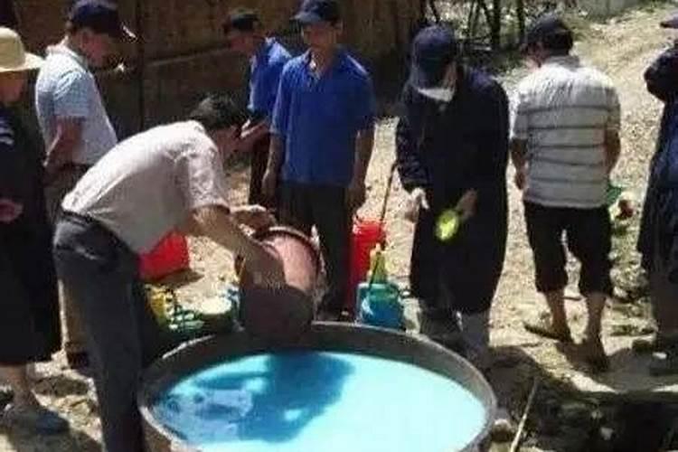 打完波尔多液一周再打点叶面肥可以吗？