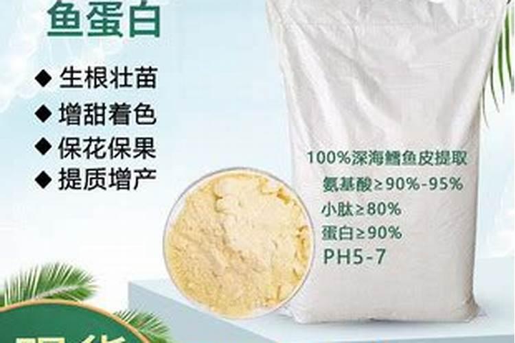 种蓝莓用什么肥料好