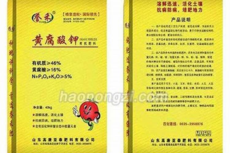 腊梅繁殖生根最快方法 腊梅扦插生根最快方法