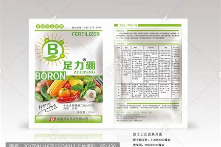 墨兰一年发几次芽
