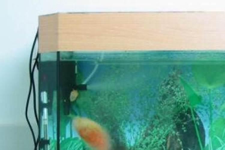 葡萄糖做叶面肥有效吗 葡萄糖是大分子物质还是小分子物质