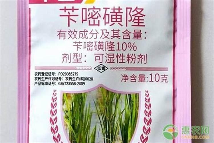 苎麻属的栽培技术