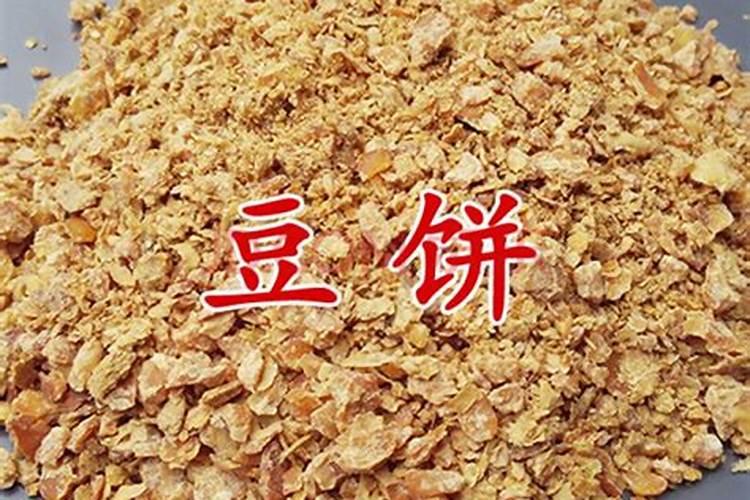 河南的蔬菜特产是什么？