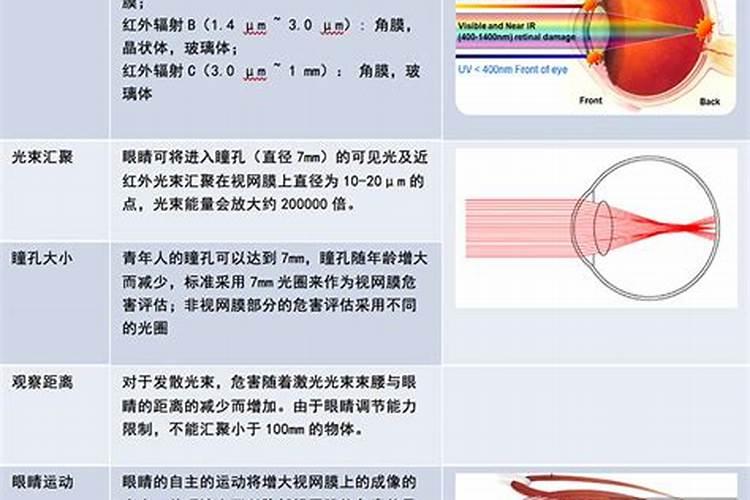 幸福树有虫该如何进行防治