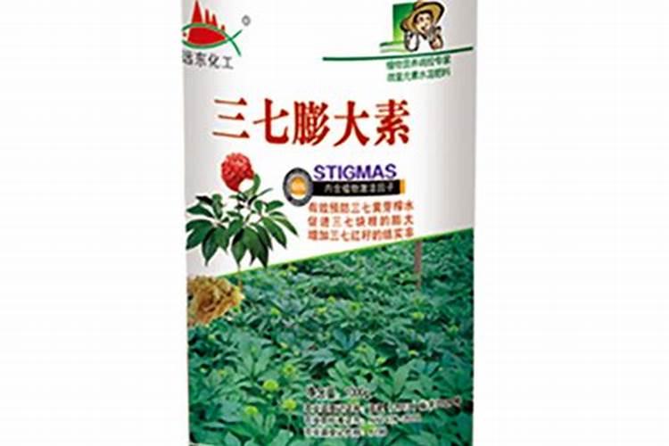 三七种植小妙招