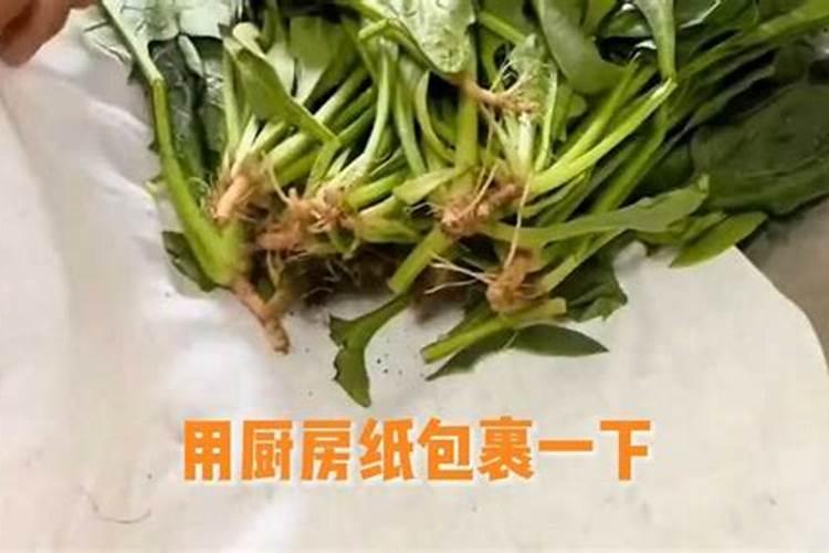 硫酸钾复合肥十大名牌