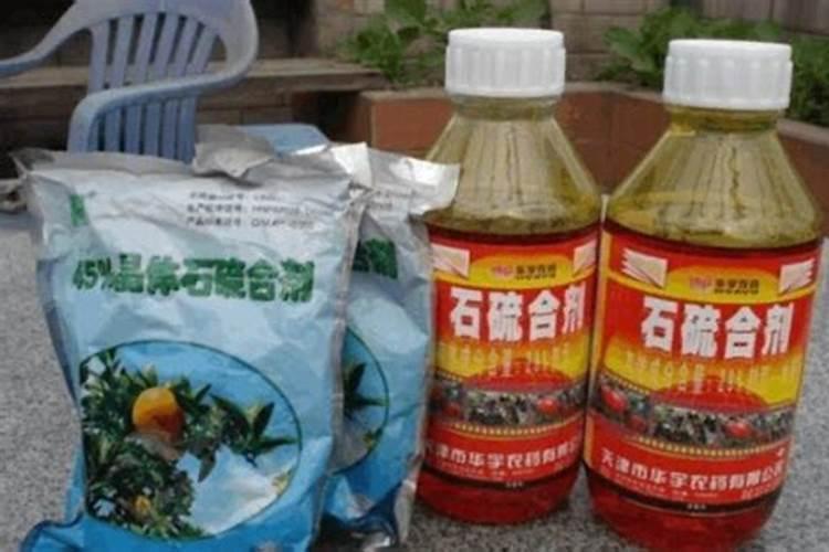 水稻倒伏用什么肥