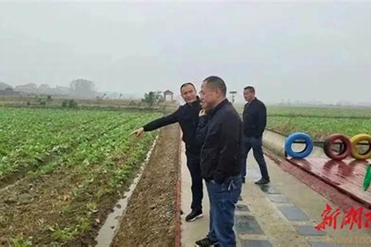 低温冻害的主要防治措施是什么