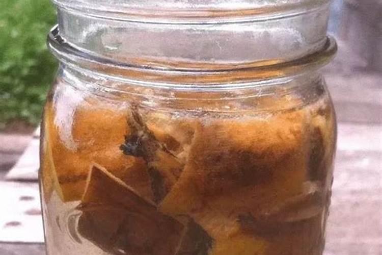 兰花换盆后怎么浇水