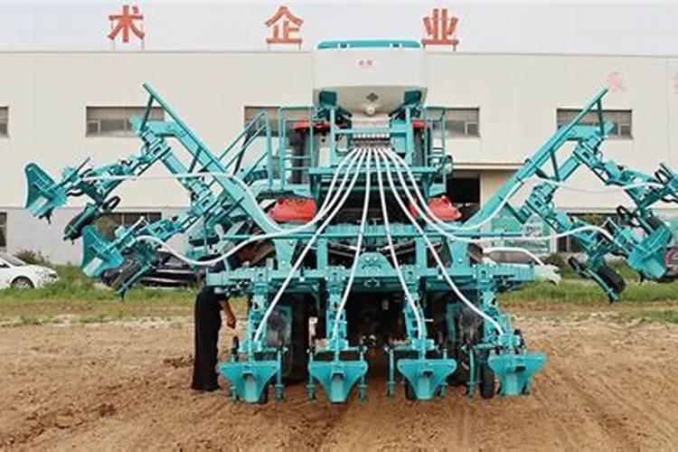 种玉米用什么肥料