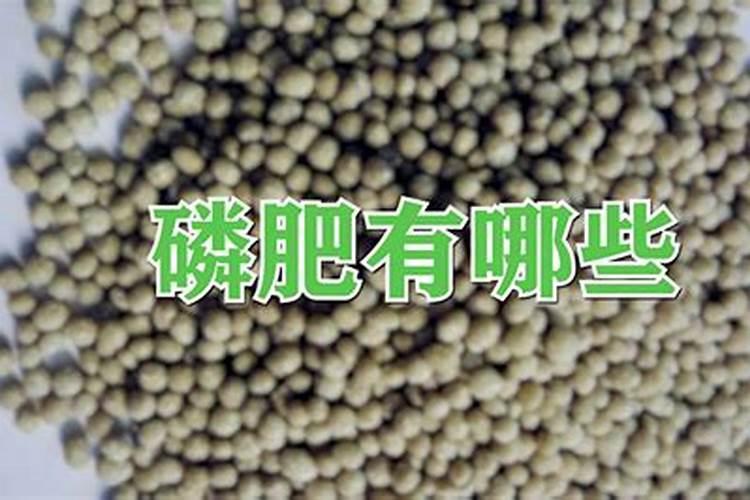 无机肥料有哪些