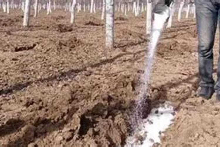 高磷水溶肥什么时候用