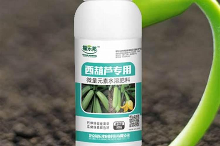 露地西葫芦种植技术有哪些？