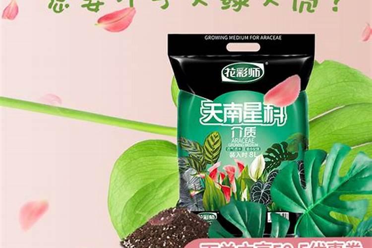 营养土最建议买的牌子