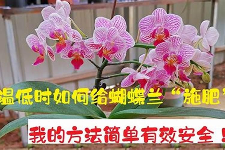 我想了解一下该怎么使用化肥氮磷钾？