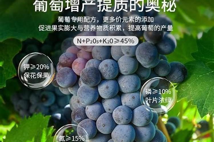 大蒜的施肥方法