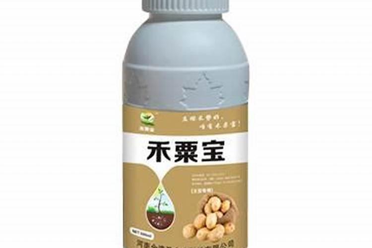 钾肥养花使用方法