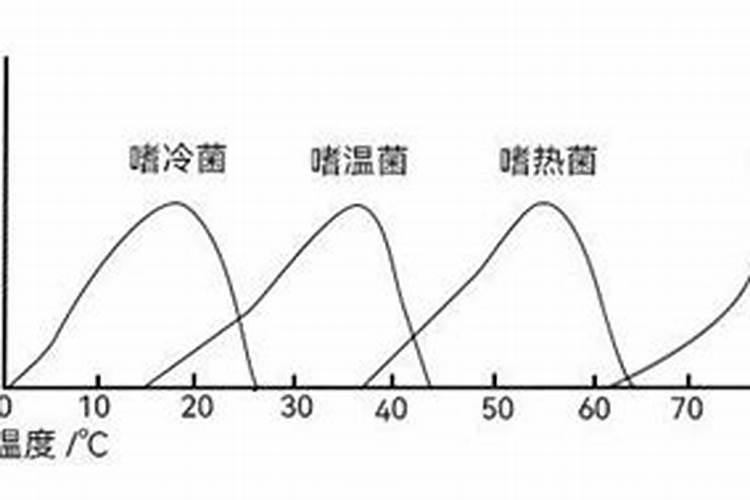 腐殖酸水溶肥是什么肥料？