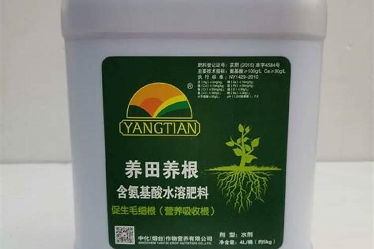 芸苔素的作用和使用方法 芸苔素如何分辨真假