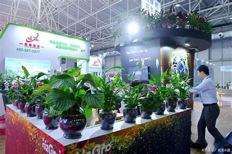 丽水植物园莲都区人有优惠吗