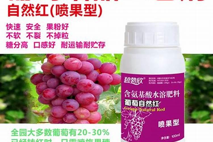 葡萄怎样催红