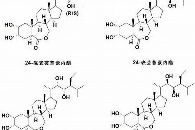 芸苔素14,24,28的区别是什么？