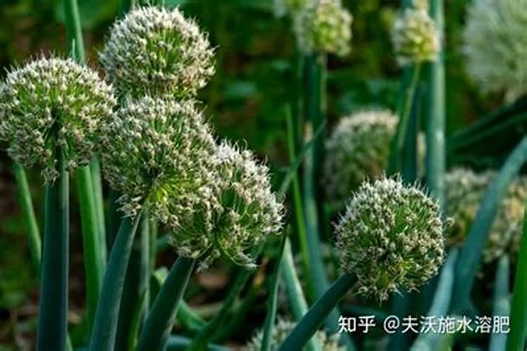 橡胶粘合用什么胶水？
