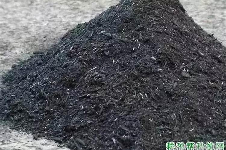水溶肥发展与展望