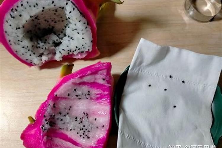 火龙果种植方法有哪些(火龙果养殖注意事项)