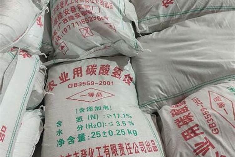 怎么让月季牙签苗快速长大,牙签苗如何过冬