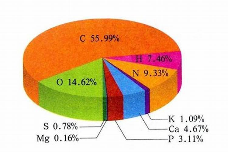 人体内的微量元素与常量元素都有什么？起什么作用？