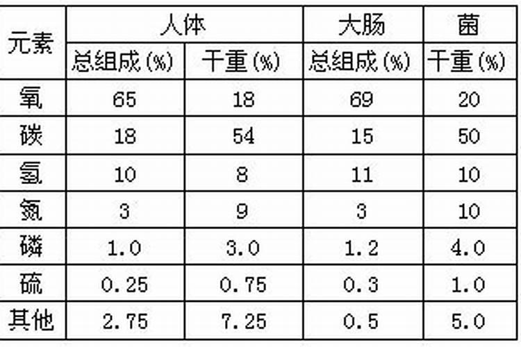中考化学复习提纲