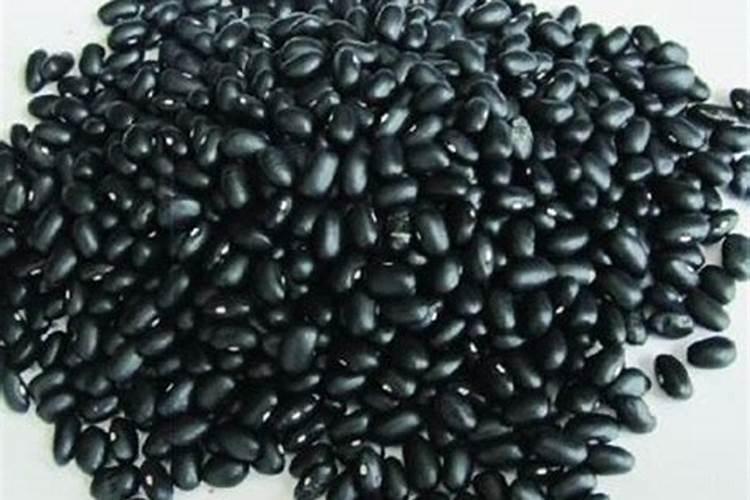 核桃树用什么肥料最好