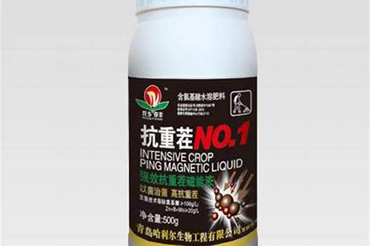 令箭荷花多久生根