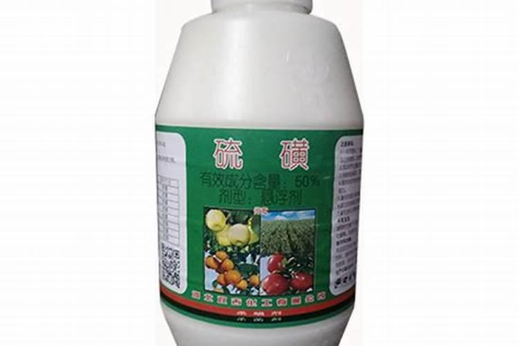 葡萄都有哪些病害？