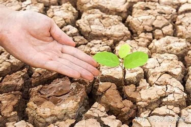 土壤变硬、甚至结块怎么办？