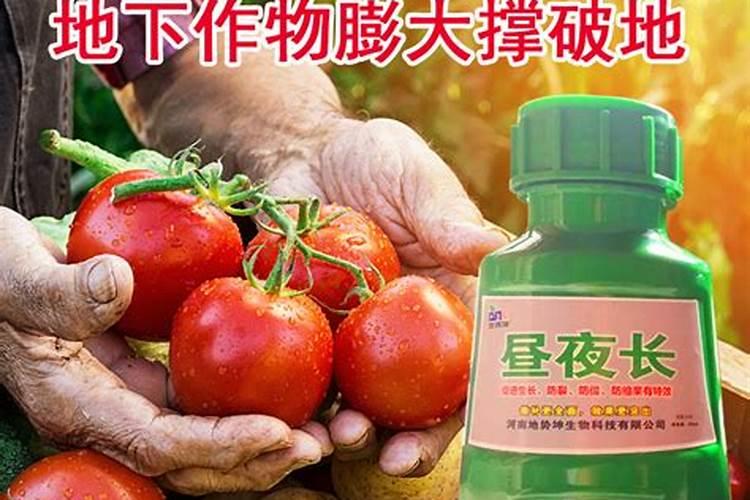 磷酸二氢钾加芸苔素用