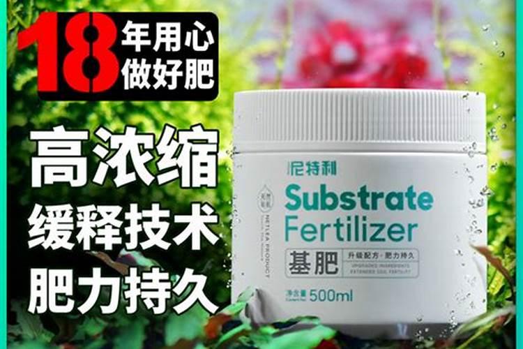 新栽水草,尼特利底沙如何施肥