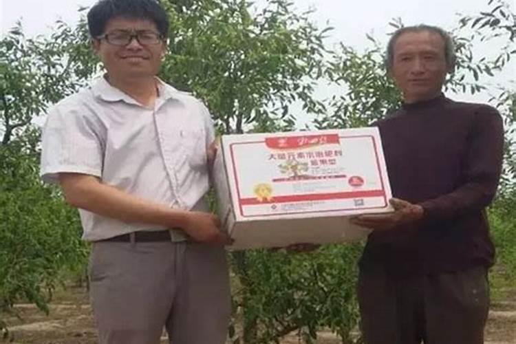 请问:钾肥是否可以做叶面肥使用直接叶面喷施？谢谢!