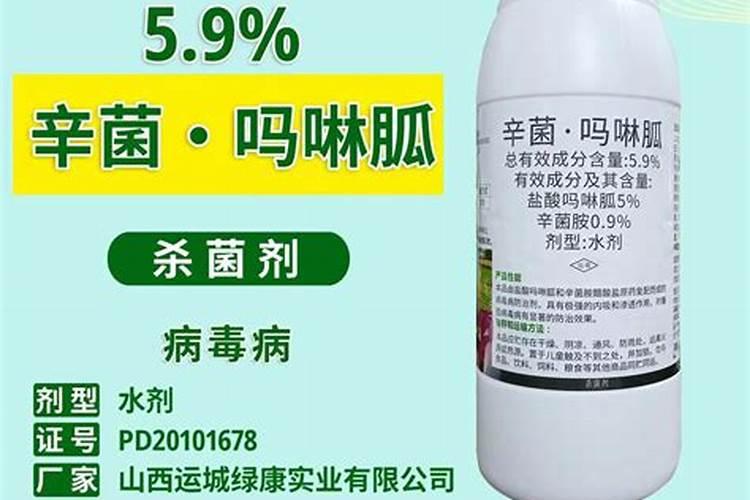 这是怎么啦!西葫芦