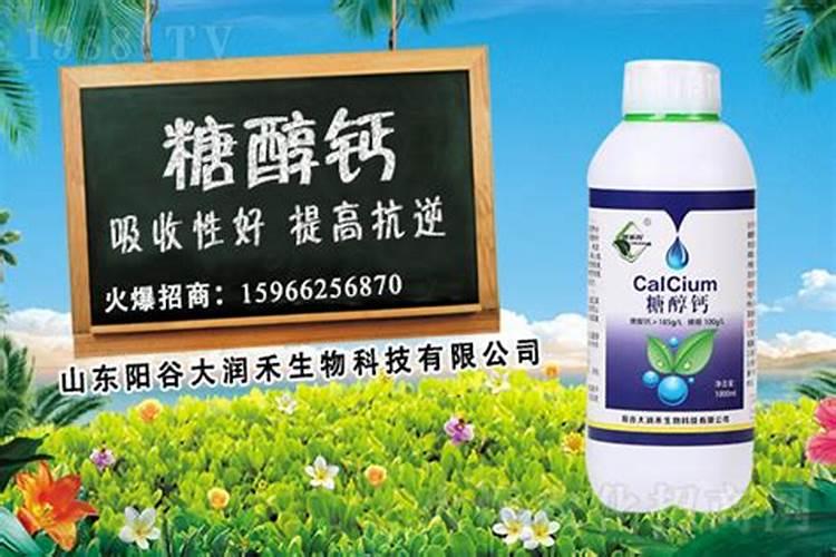 种植黄瓜的时候,需要注意哪些事项？