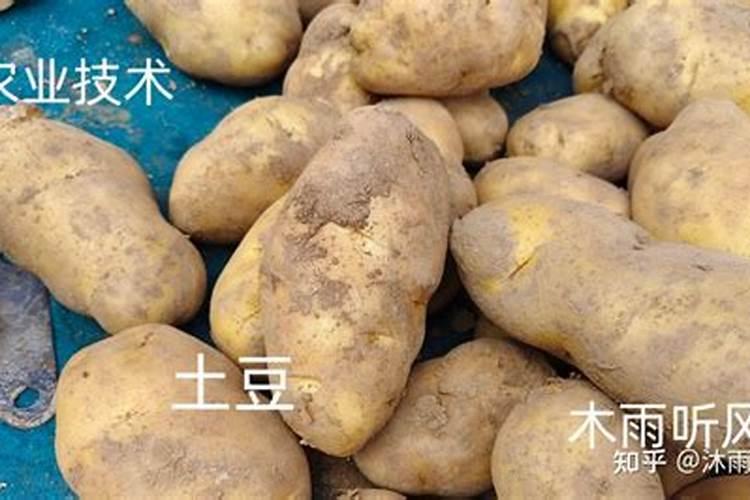 氮肥可以兑水浇花吗